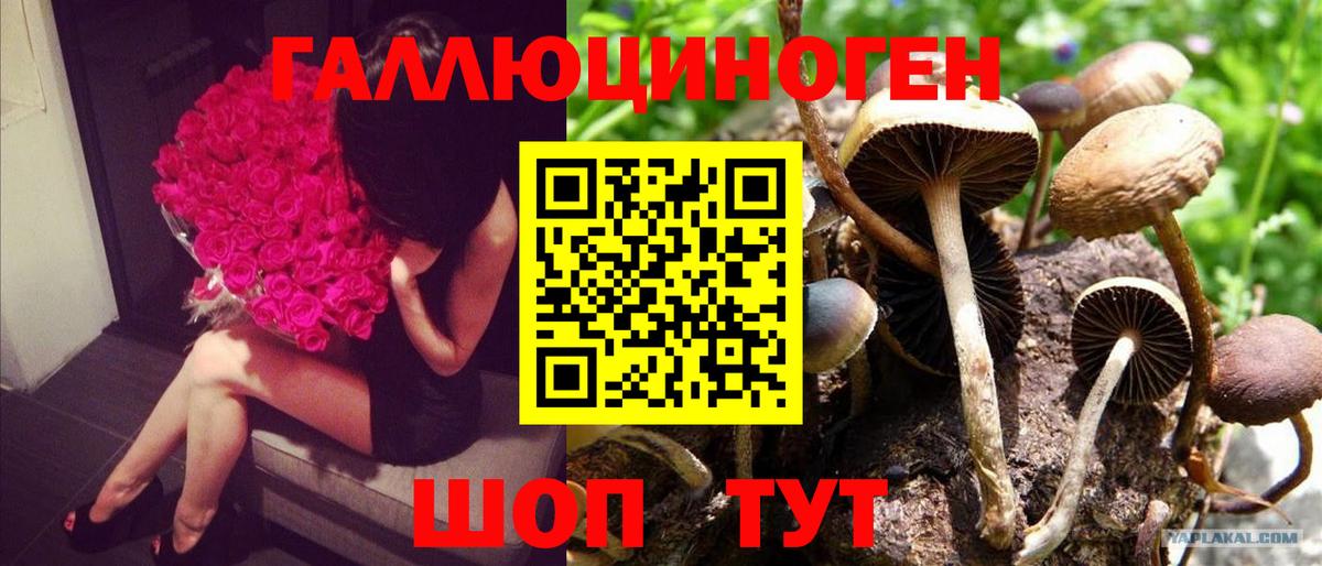 Тара  Псилоцибиновые грибы прущие грибы  Галлюциногенные грибы Magic Shrooms  Вход с VPN 