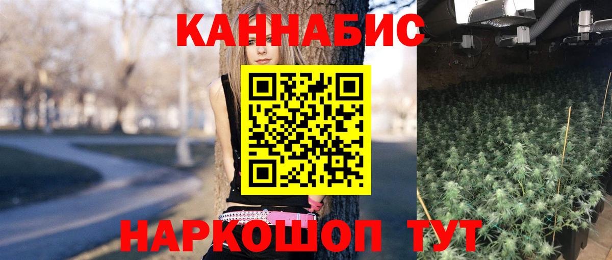 Тара  МАРИХУАНА Ganja  МАРИХУАНА AK-47  Вход с VPN 